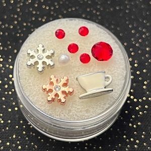 Winter Themed Origami Owl Charms